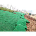 Factory Price Erosion Control Mat 3D Geomat Geonet